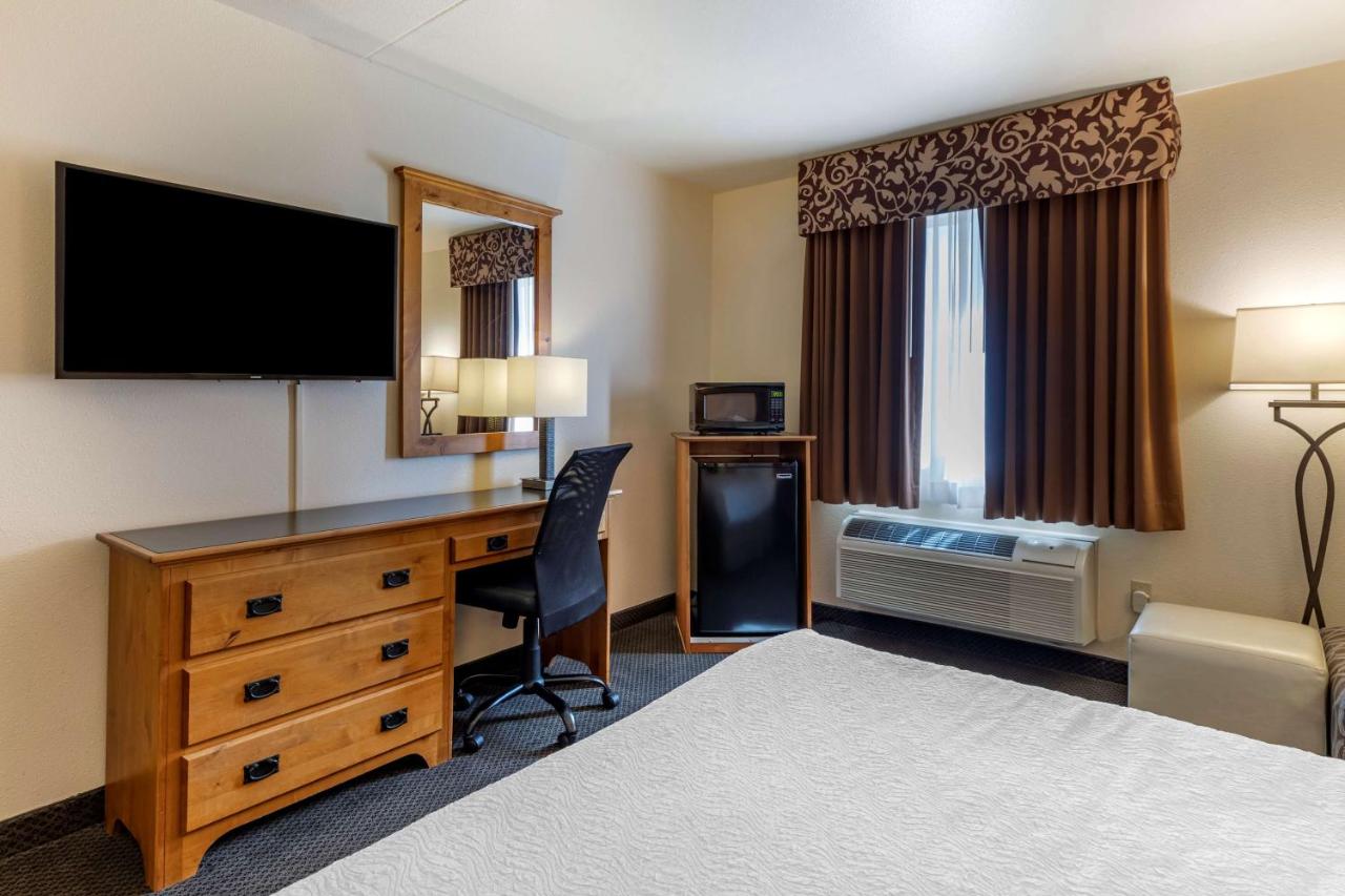 King Room with Roll-In Shower - Disability Access at Best Western Brighton Inn