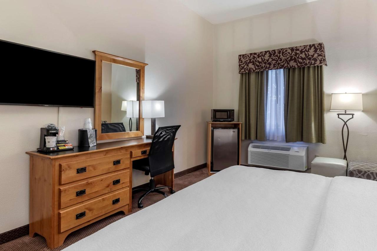 King Room with Roll-In Shower - Disability Access at Best Western Brighton Inn