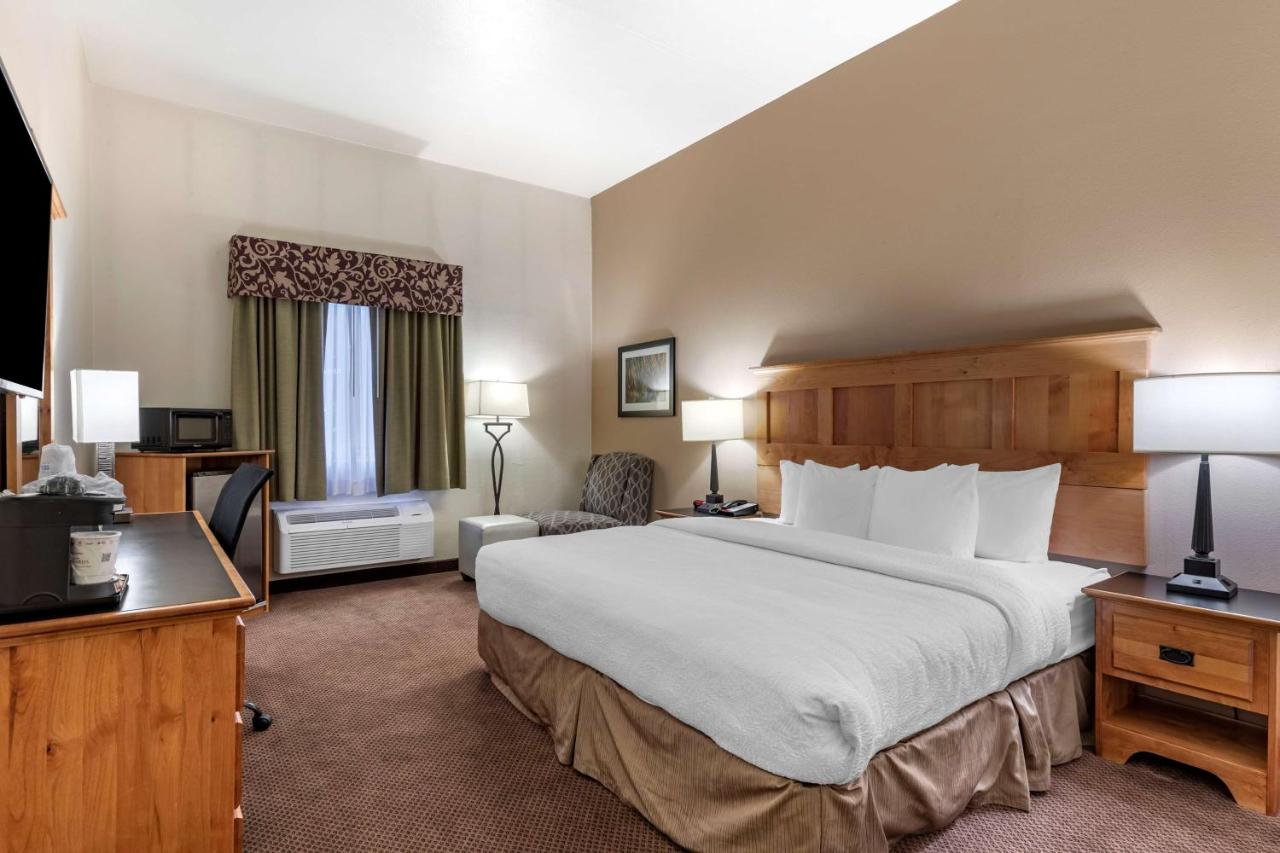 King Room with Roll-In Shower - Disability Access at Best Western Brighton Inn