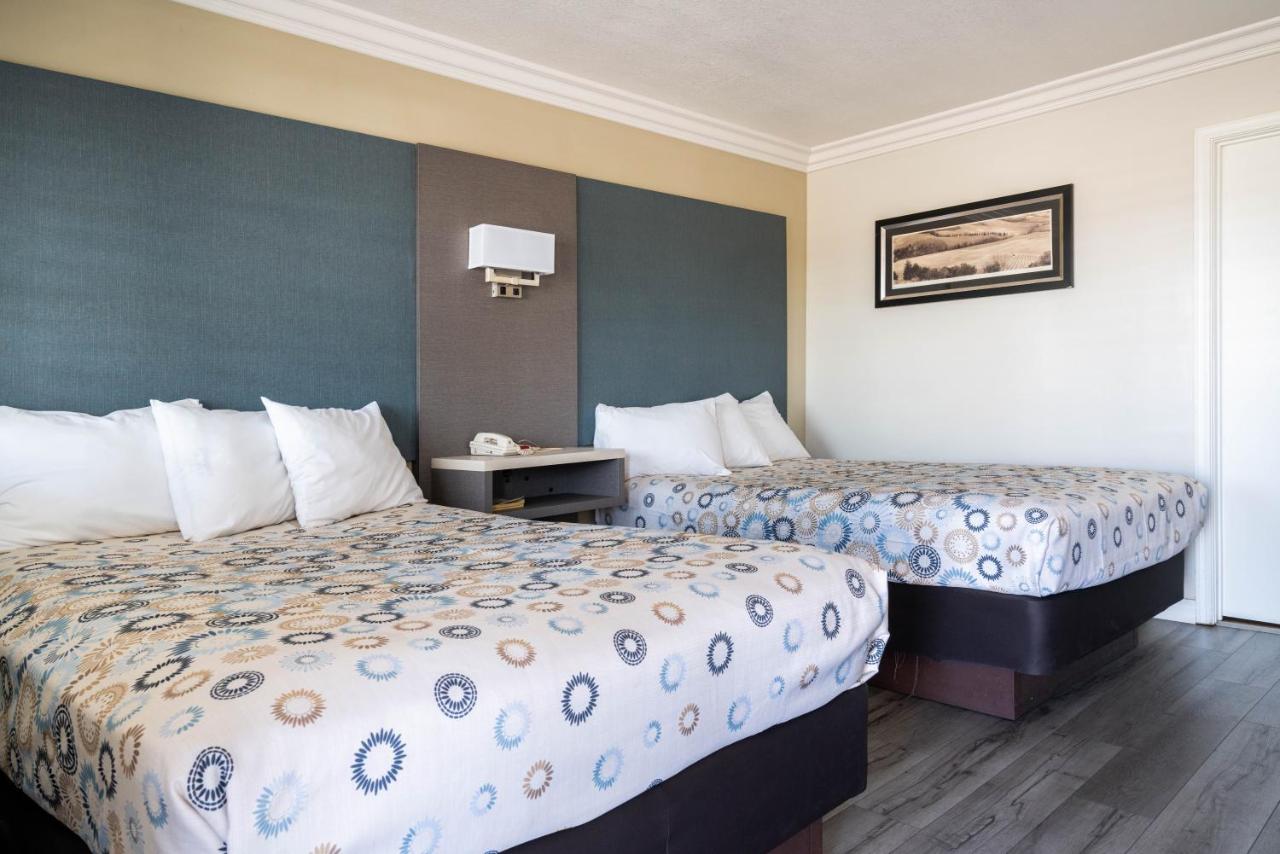 Standard Double Room at Solaire Inn & Suites