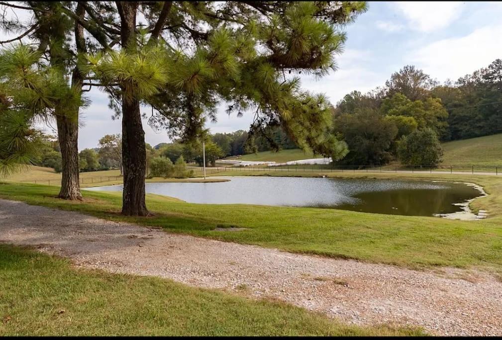 | Unique home on a beautiful ranch w/ stocked pond