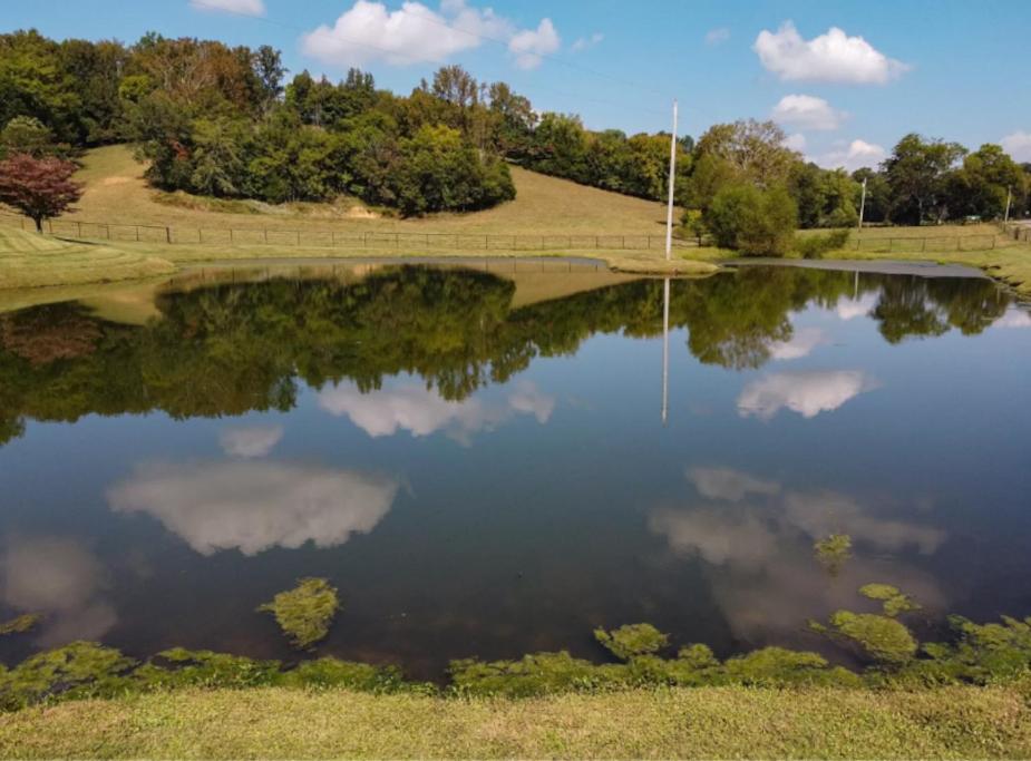 | Unique home on a beautiful ranch w/ stocked pond