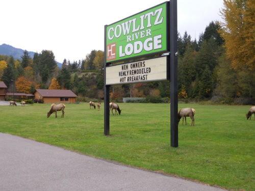 | Cowlitz River Lodge