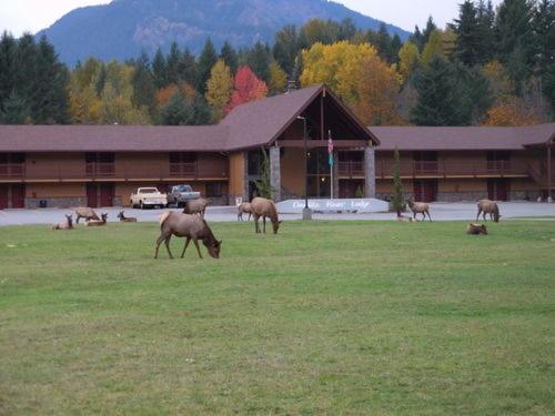 | Cowlitz River Lodge