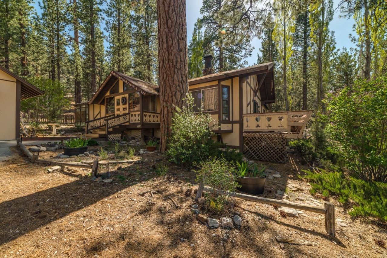 | FIND TRUE SECLUSION IN OUR PEACEFUL CHALET. 5 ACRES, TRAILS, TREES & SPA