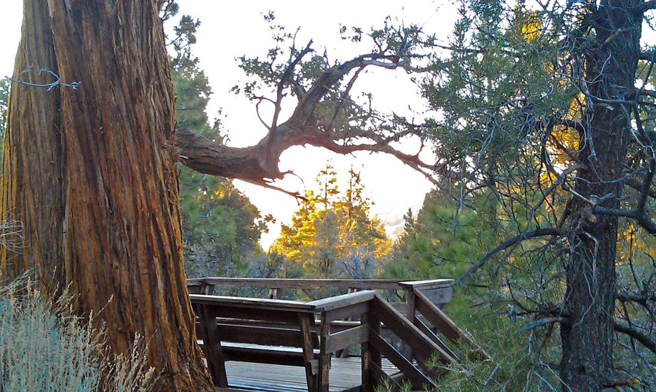 | FIND TRUE SECLUSION IN OUR PEACEFUL CHALET. 5 ACRES, TRAILS, TREES & SPA