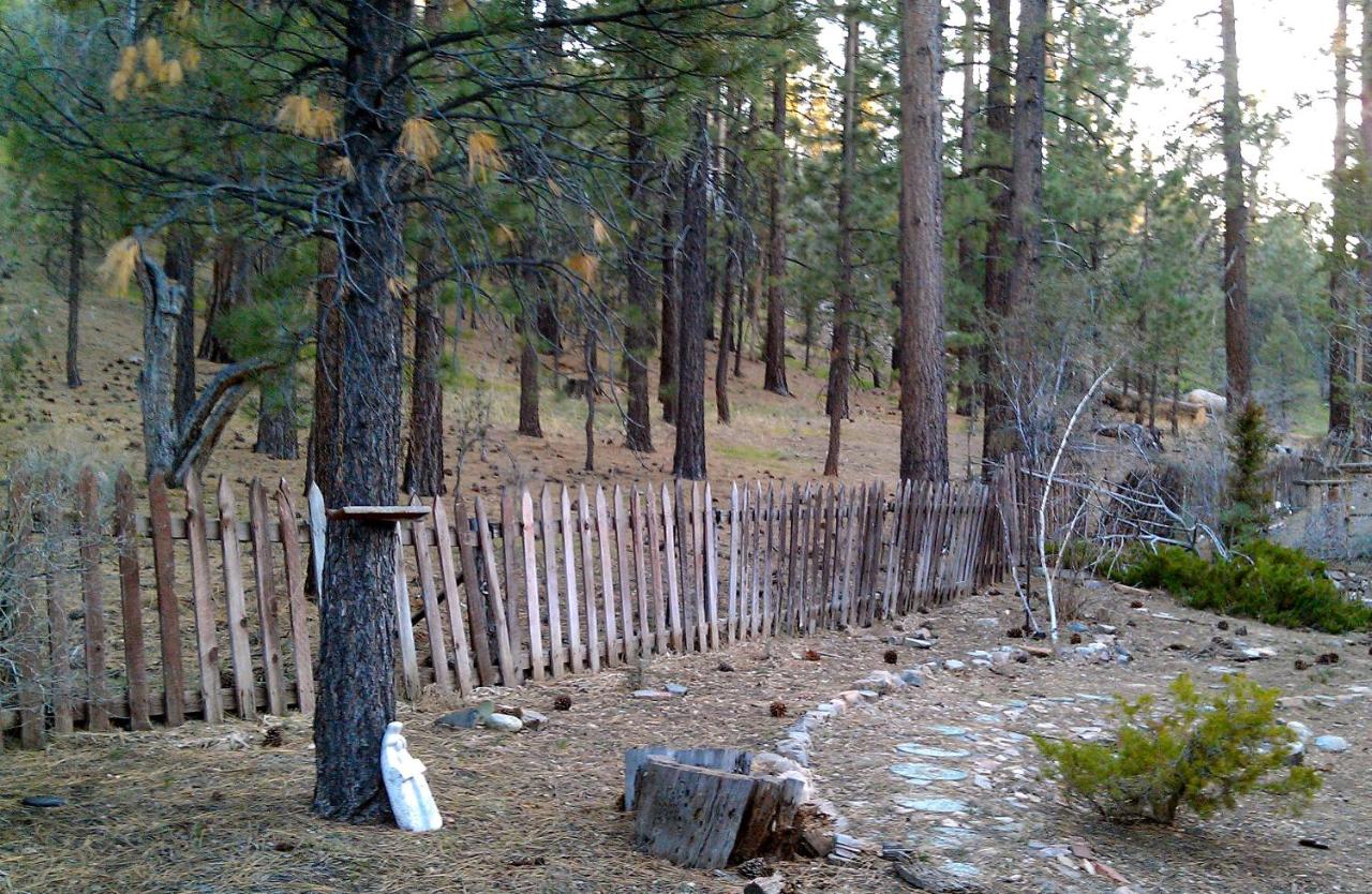 | FIND TRUE SECLUSION IN OUR PEACEFUL CHALET. 5 ACRES, TRAILS, TREES & SPA