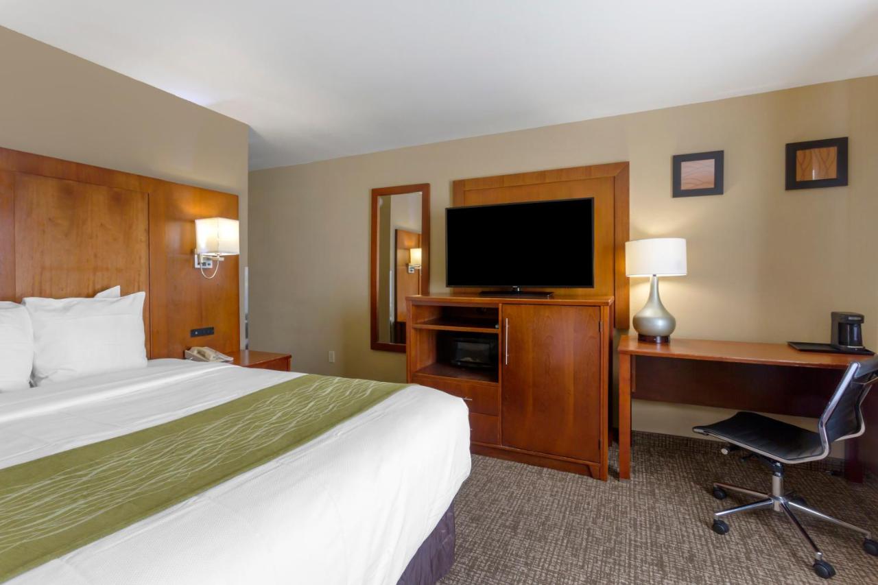 Queen Room - Non-Smoking at Comfort Inn & Suites Woods Cross - Salt Lake City North
