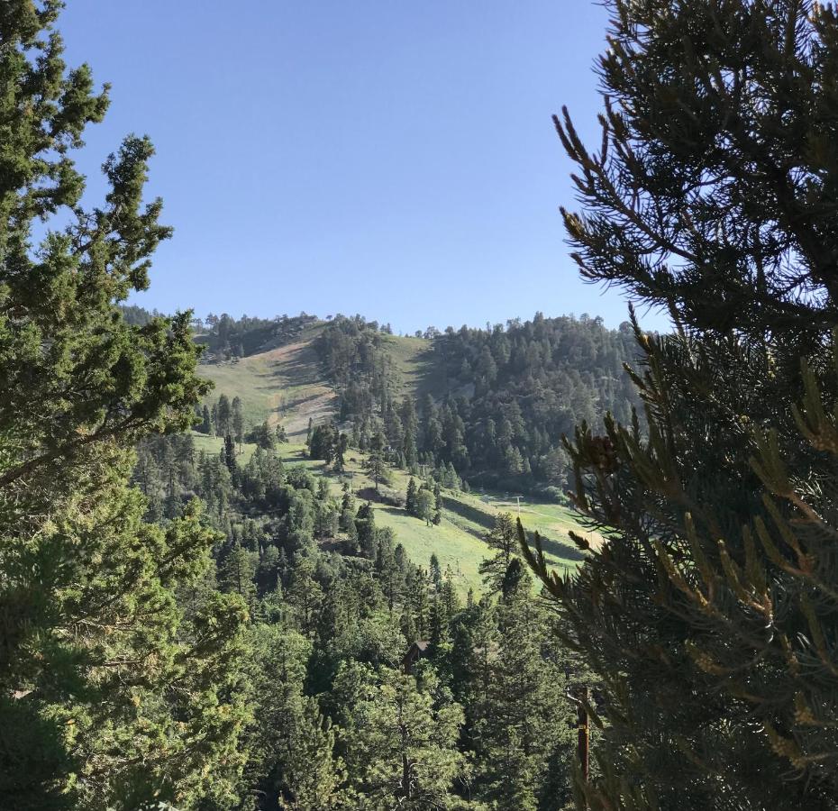  | Top of the Mountain
