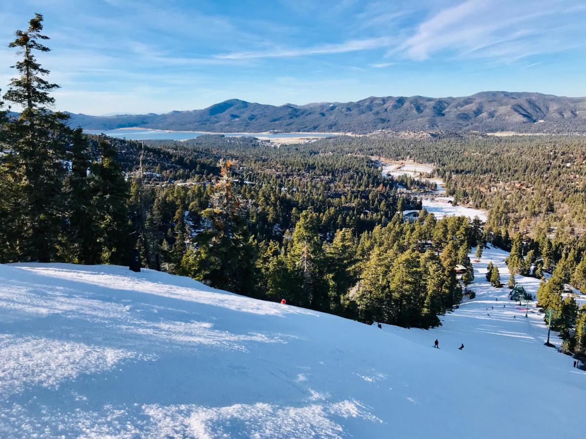 | Top of the Mountain