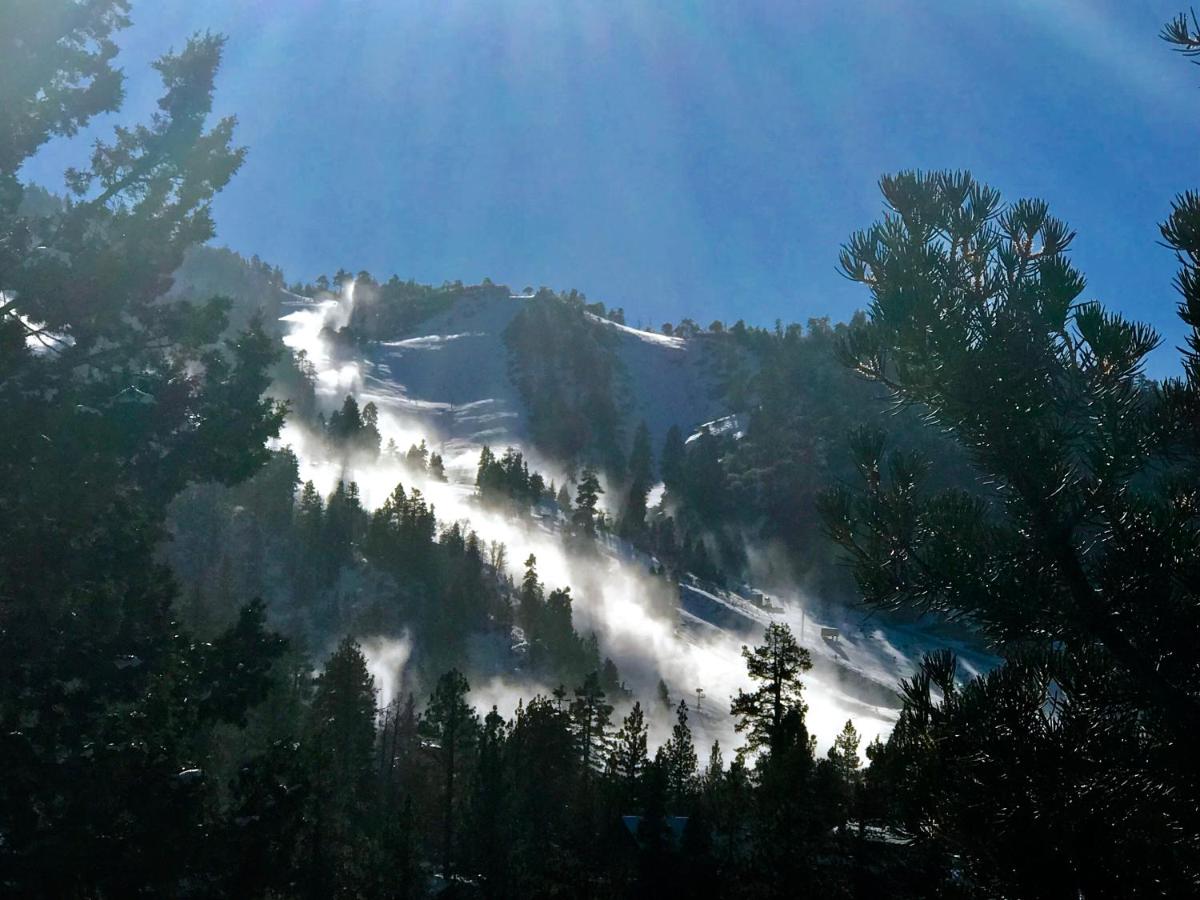 | Top of the Mountain