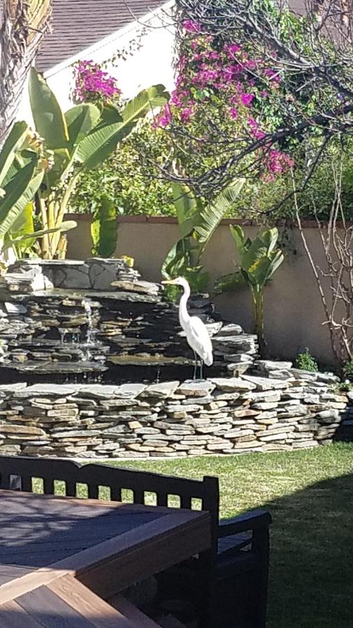  | COZY 2 BEDROOM GUESTHOUSE IN BEVERLY HILLS