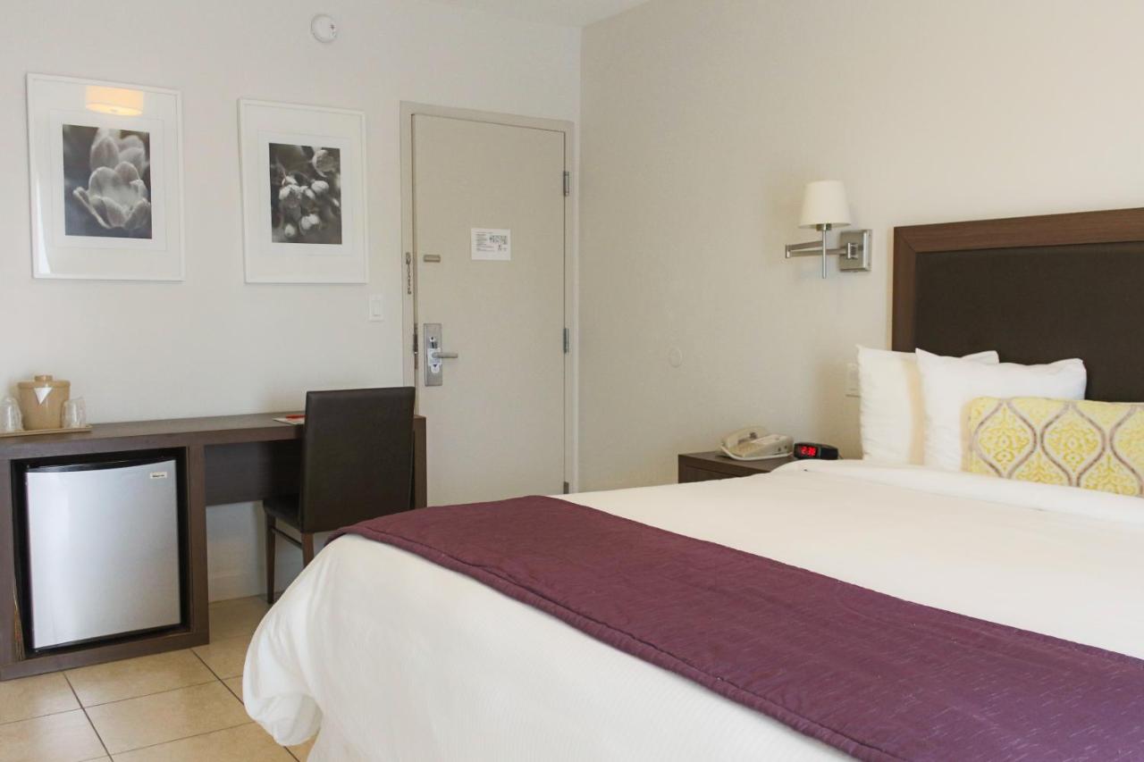 Standard King Room - No Resort Fee at Collins Hotel