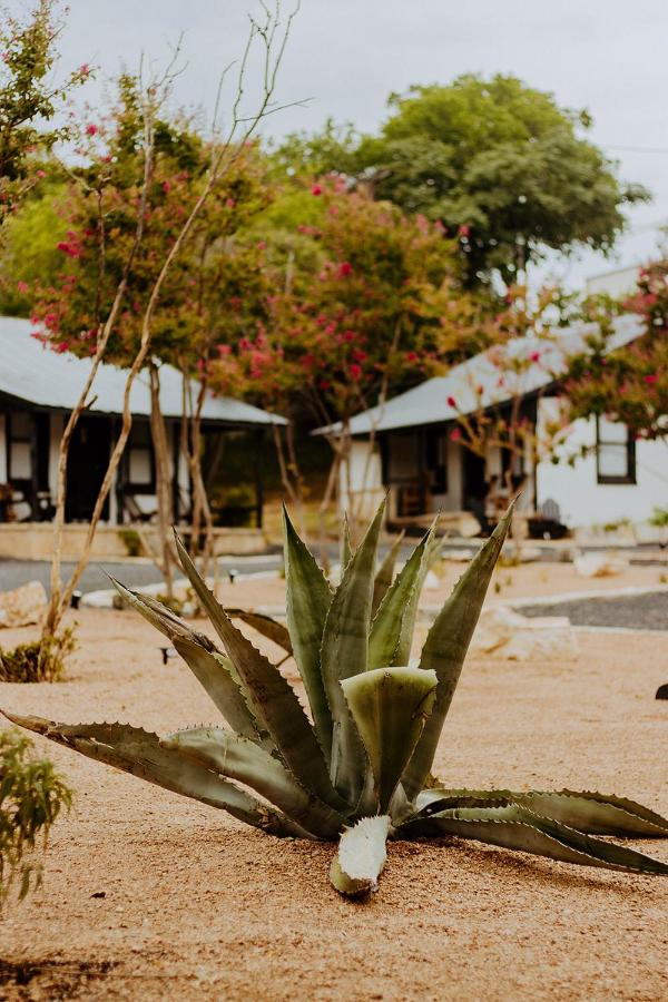 | THE VAQUERO MOTEL