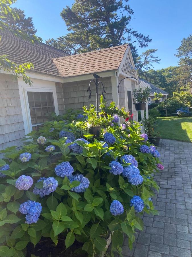 | Allen Harbor Rentals