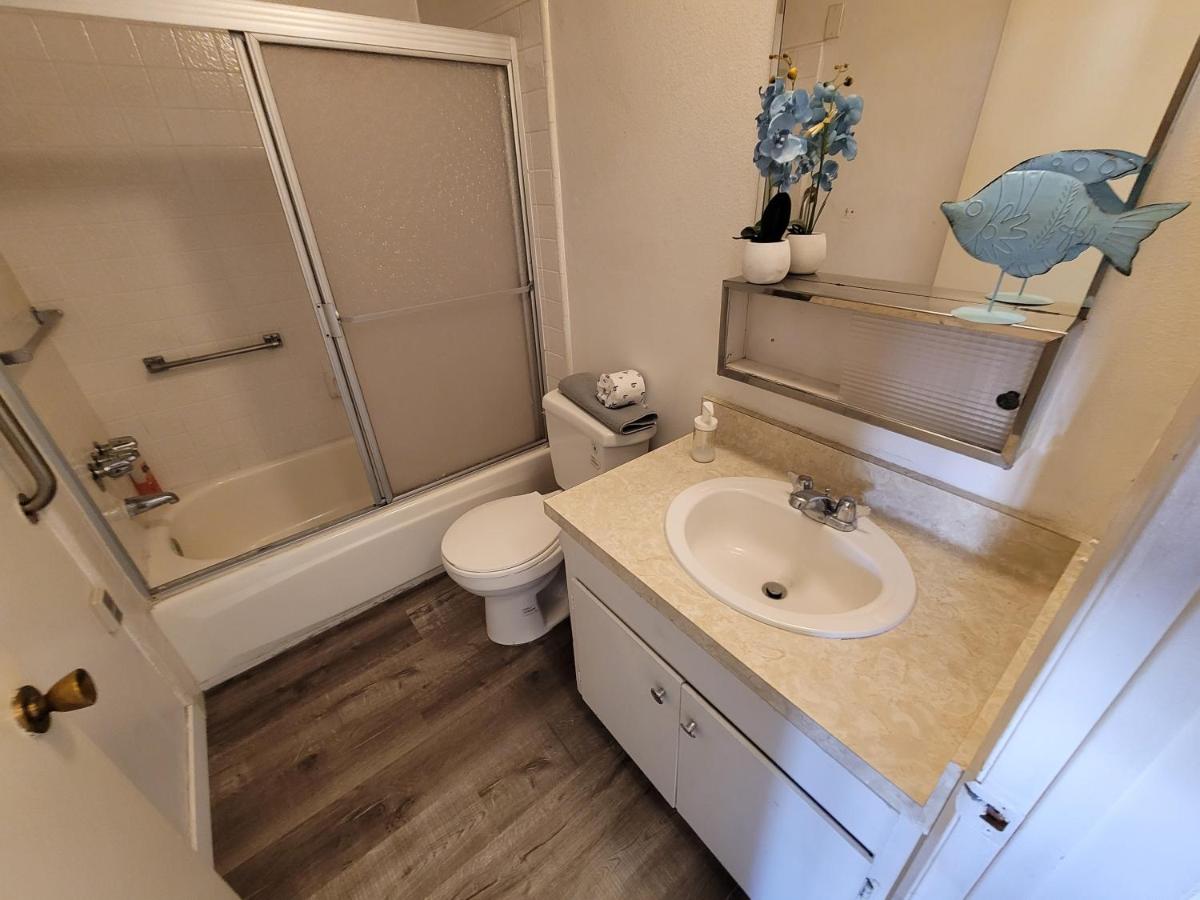 | (C20) Large & Cozy Unit