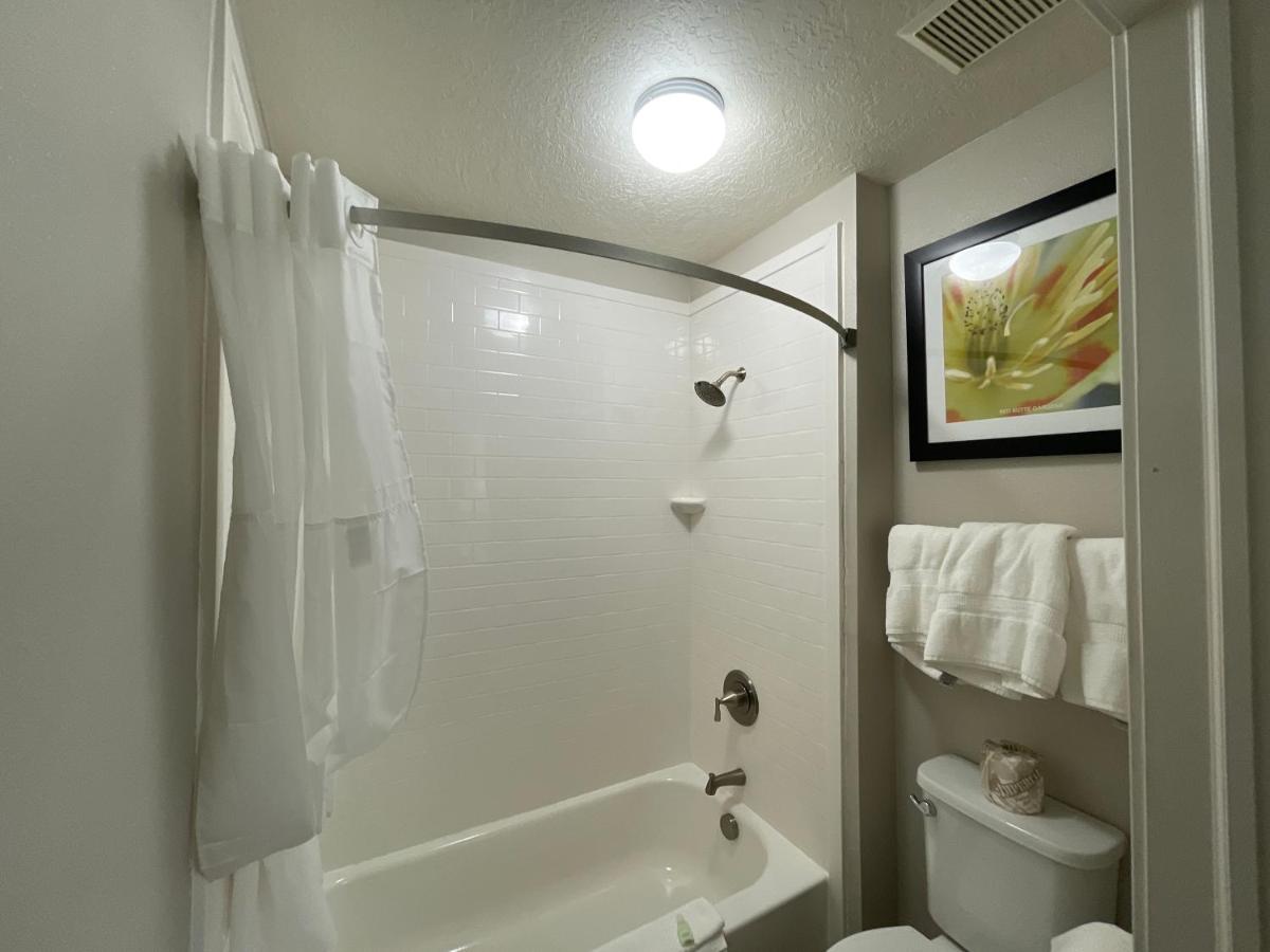 Deluxe Suite with Two Queen Beds - Non-Smoking at Wingate by Wyndham Cedar City