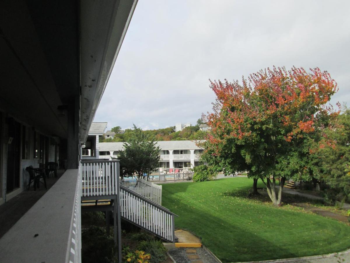 | Eastwood at Provincetown