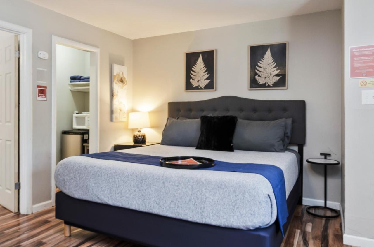 Family Suite at Playpark Lodge
