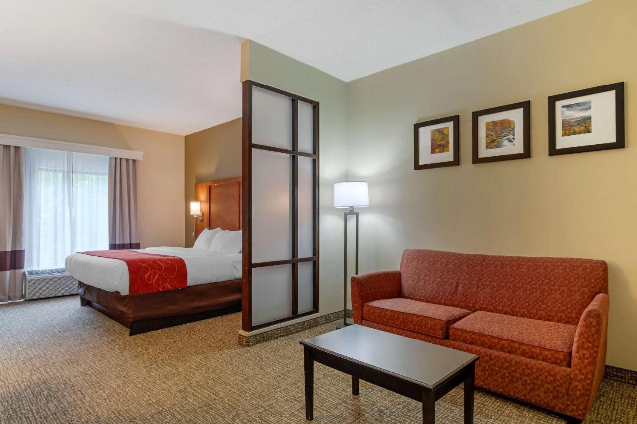 King Suite with Accessible Bath Tub - Non-Smoking at Comfort Suites Kingsport South