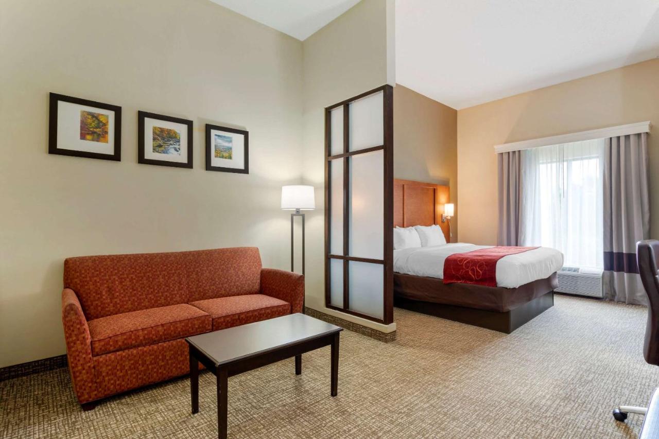 King Room Non-Smoking at Comfort Suites Kingsport South