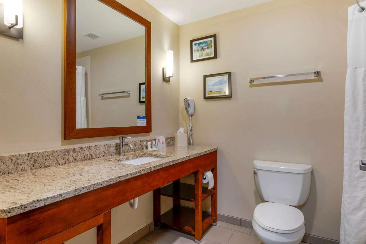 King Room Non-Smoking at Comfort Suites Kingsport South