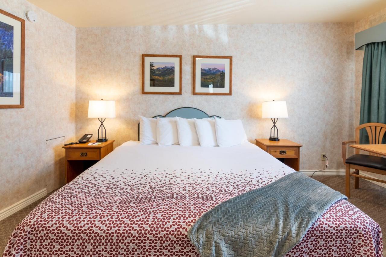 | Swiss Alps Inn