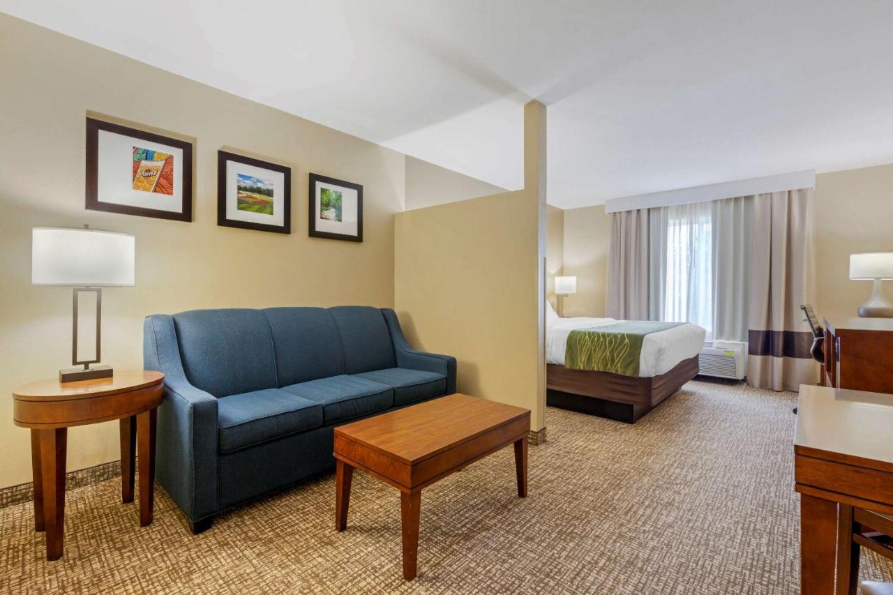 King Suite - Non-Smoking at Comfort Inn Plover-Stevens Point
