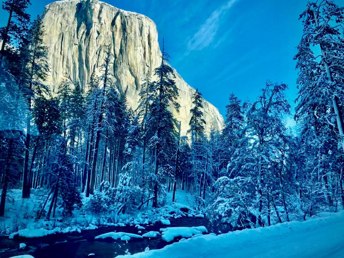 | Yosemite Charm by Casa Oso with spa and breathtaking views
