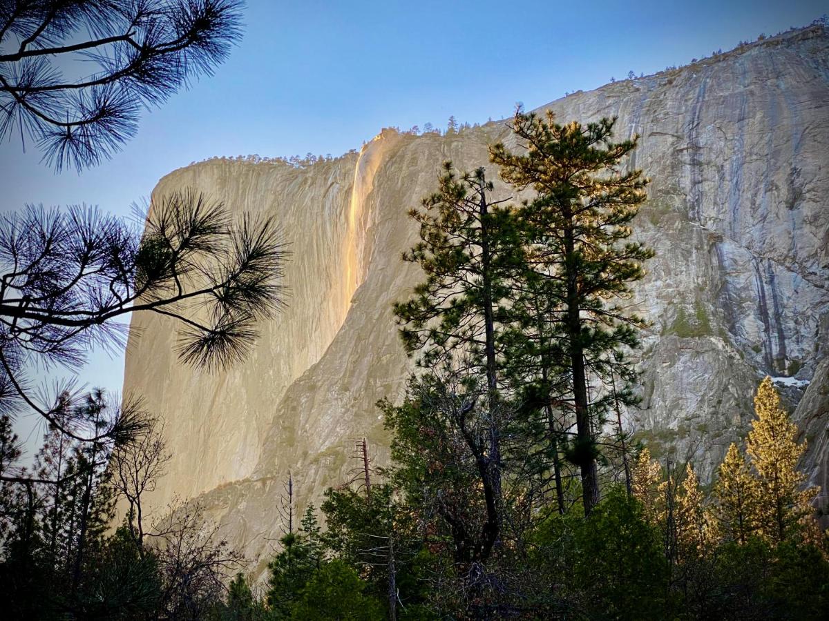 | Yosemite Charm by Casa Oso with spa and breathtaking views