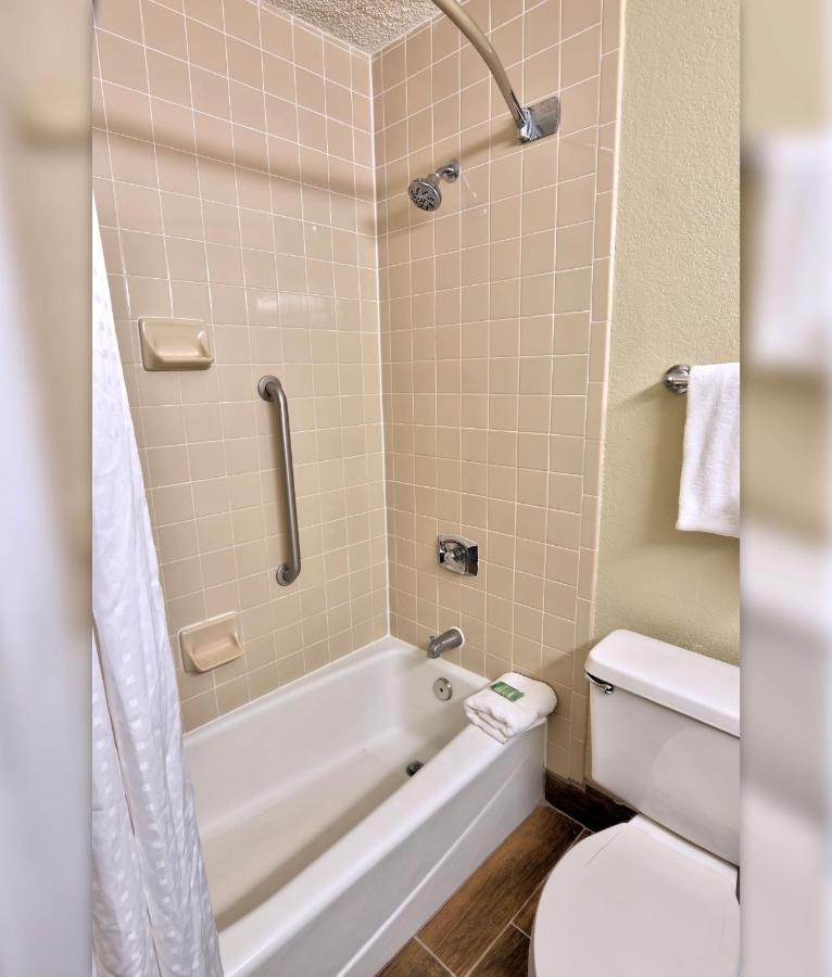 Executive King Room - Non-Smoking at Holiday Inn St Petersburg N - Clearwater, an IHG Hotel