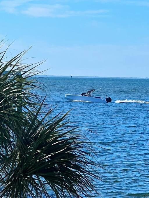  | Tampa Bay Sunset Paradise Dolphin Cove
