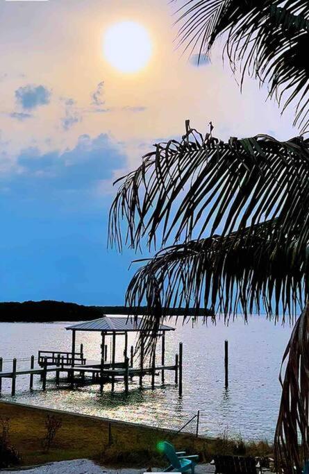  | Tampa Bay Sunset Paradise Dolphin Cove