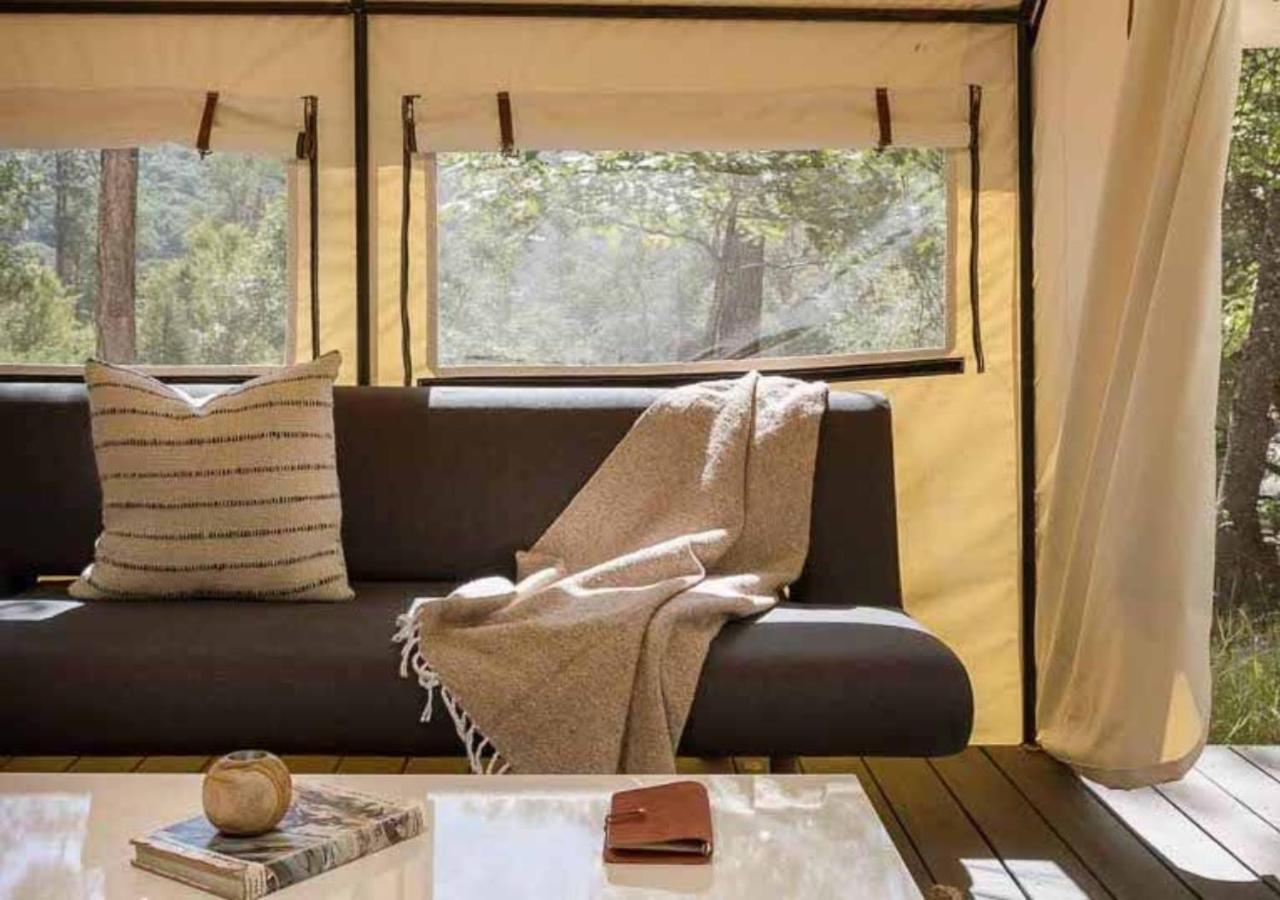| AutoCamp Cape Cod