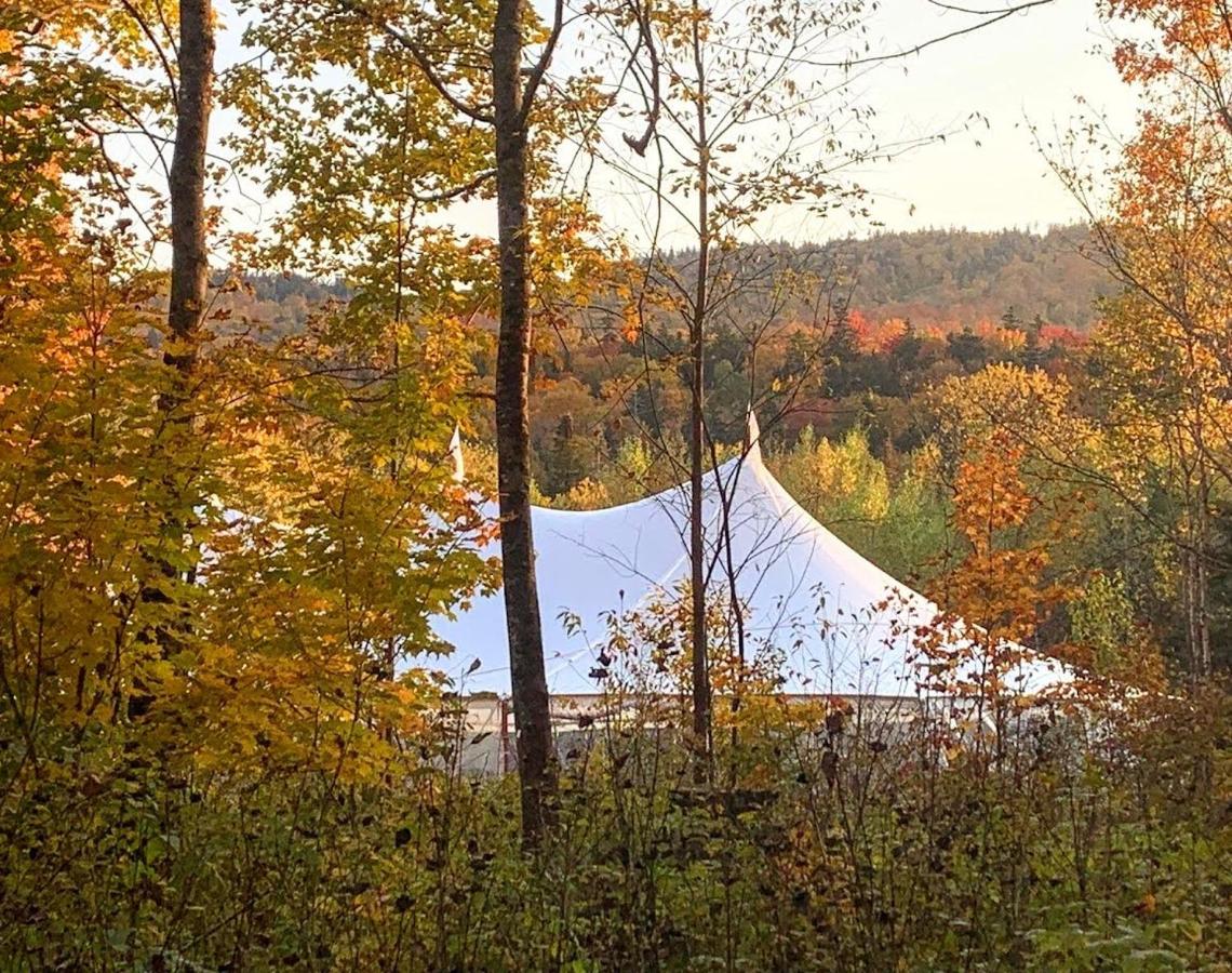 | OR Luxury 'yurt-like' home in Bretton Woods with private beach, firepit, AC, fishing and trails