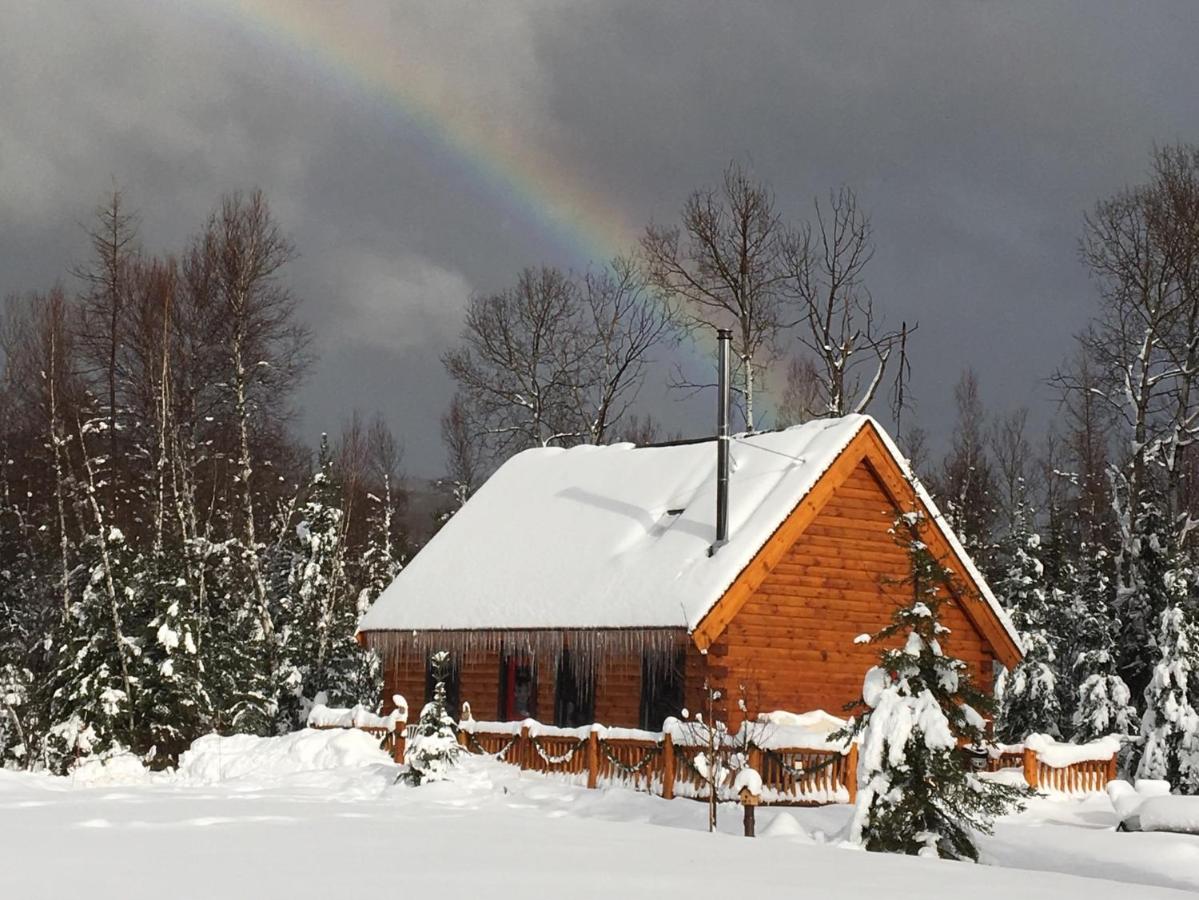 | BC Log cabin with private beach, river, fire pit, AC, wifi, onsite trails, ski slope views