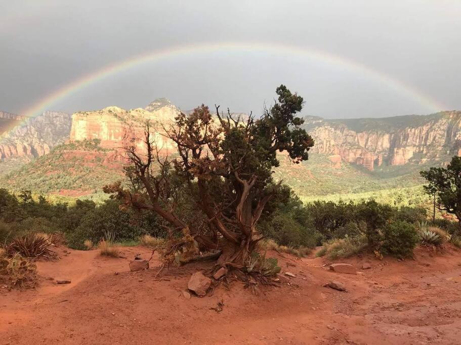  | Stunning Red Rocks; W. Sedona, Walk to trls! 1 bd!