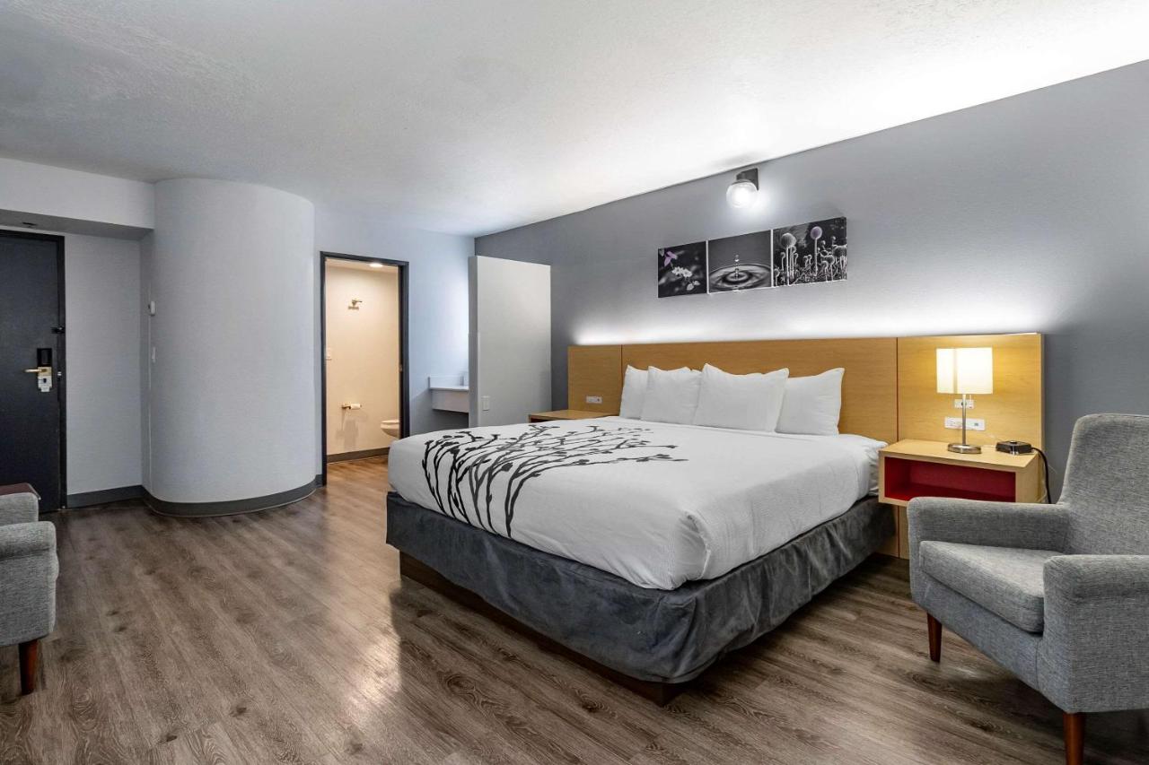 Superior King Room at Sleep Inn & Suites Jerome - Twin Falls