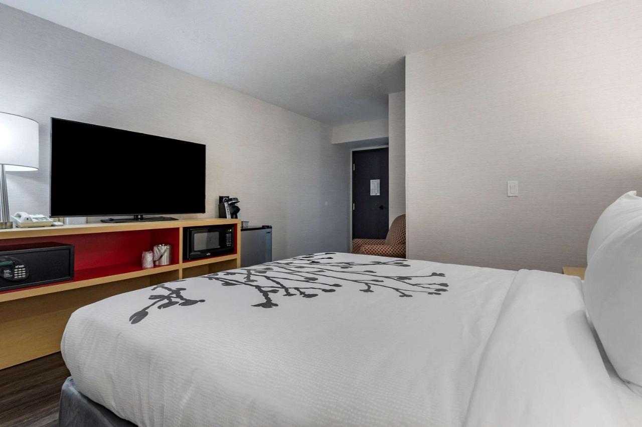 Superior King Room at Sleep Inn & Suites Jerome - Twin Falls