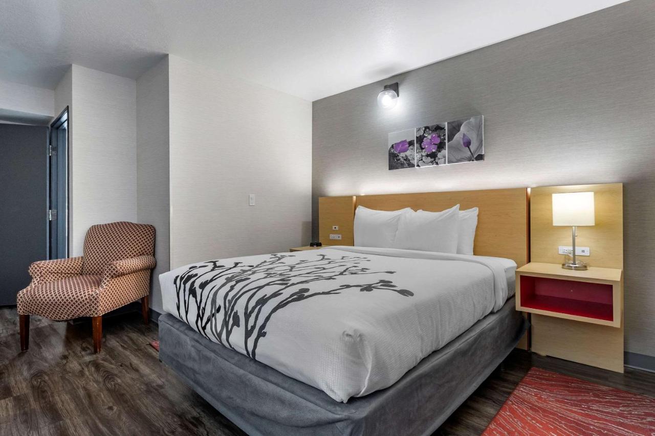 Superior King Room at Sleep Inn & Suites Jerome - Twin Falls