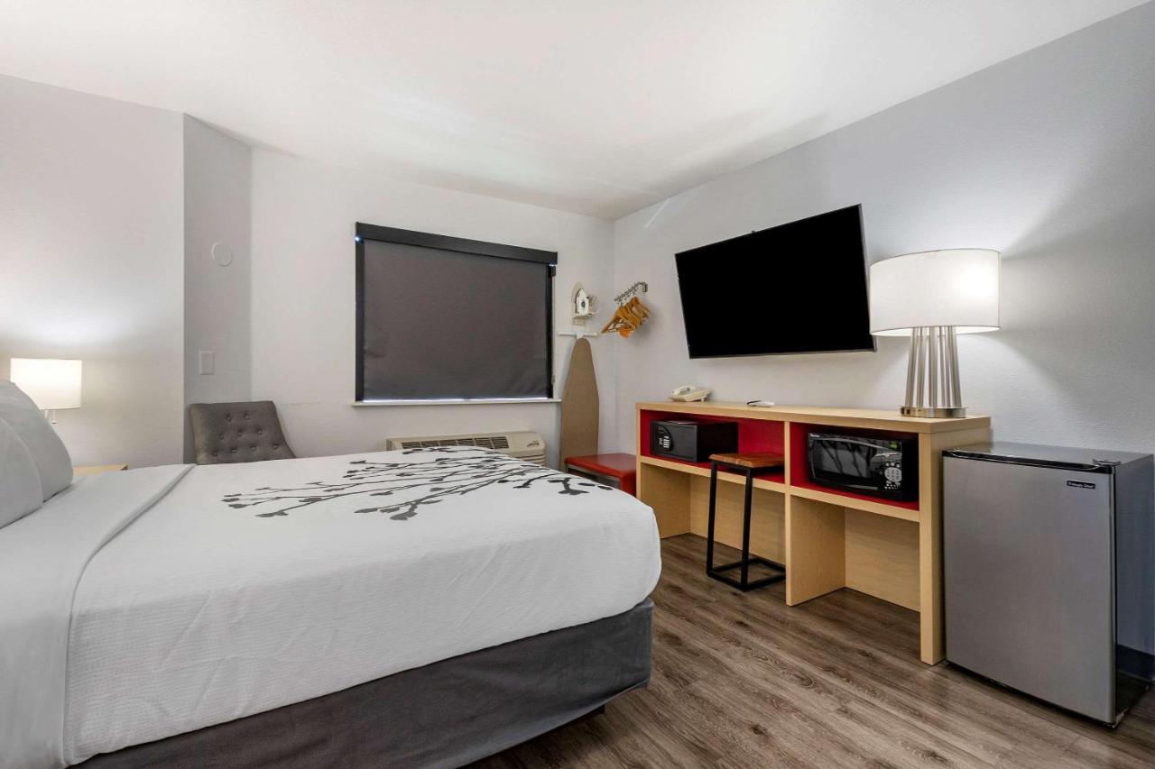 Superior King Room at Sleep Inn & Suites Jerome - Twin Falls