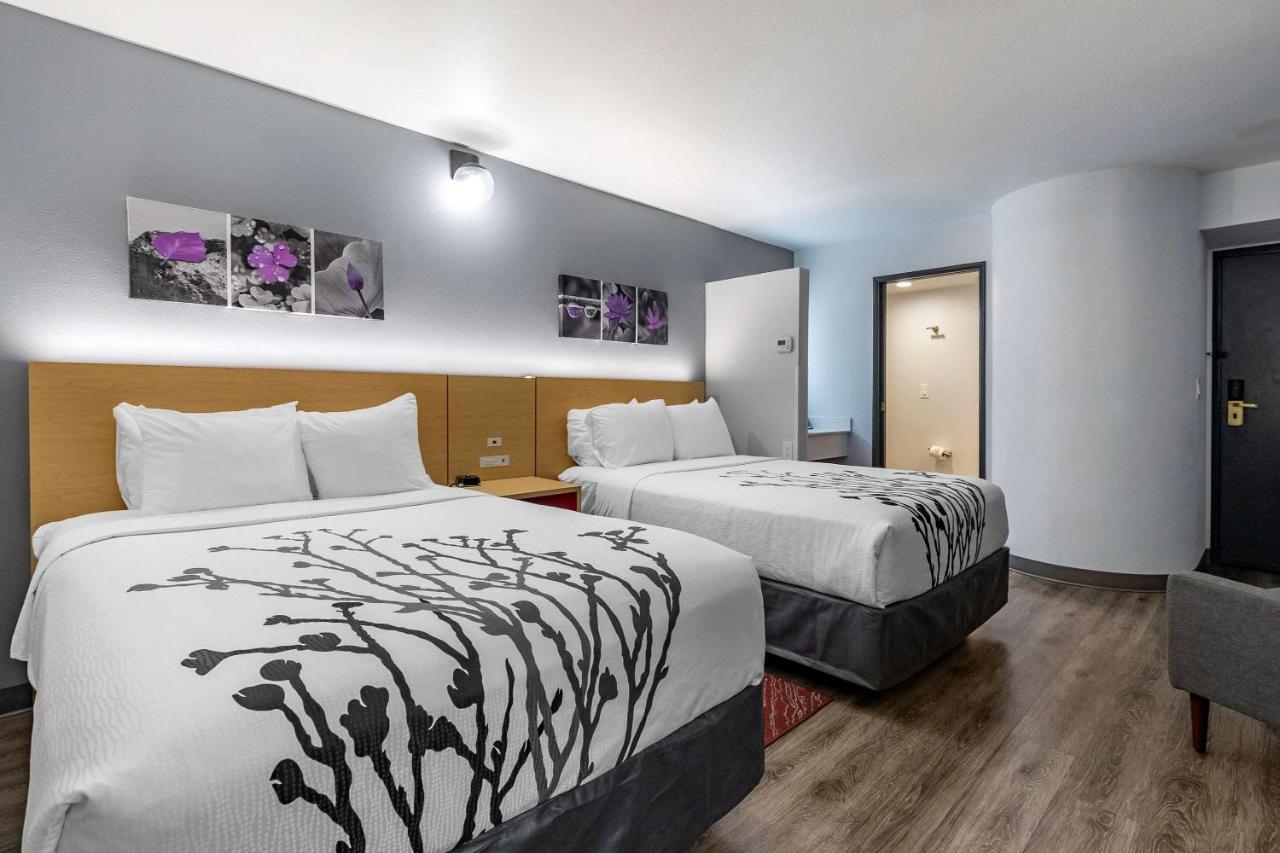 Queen Room - Disability Access/Non-Smoking at Sleep Inn & Suites Jerome - Twin Falls