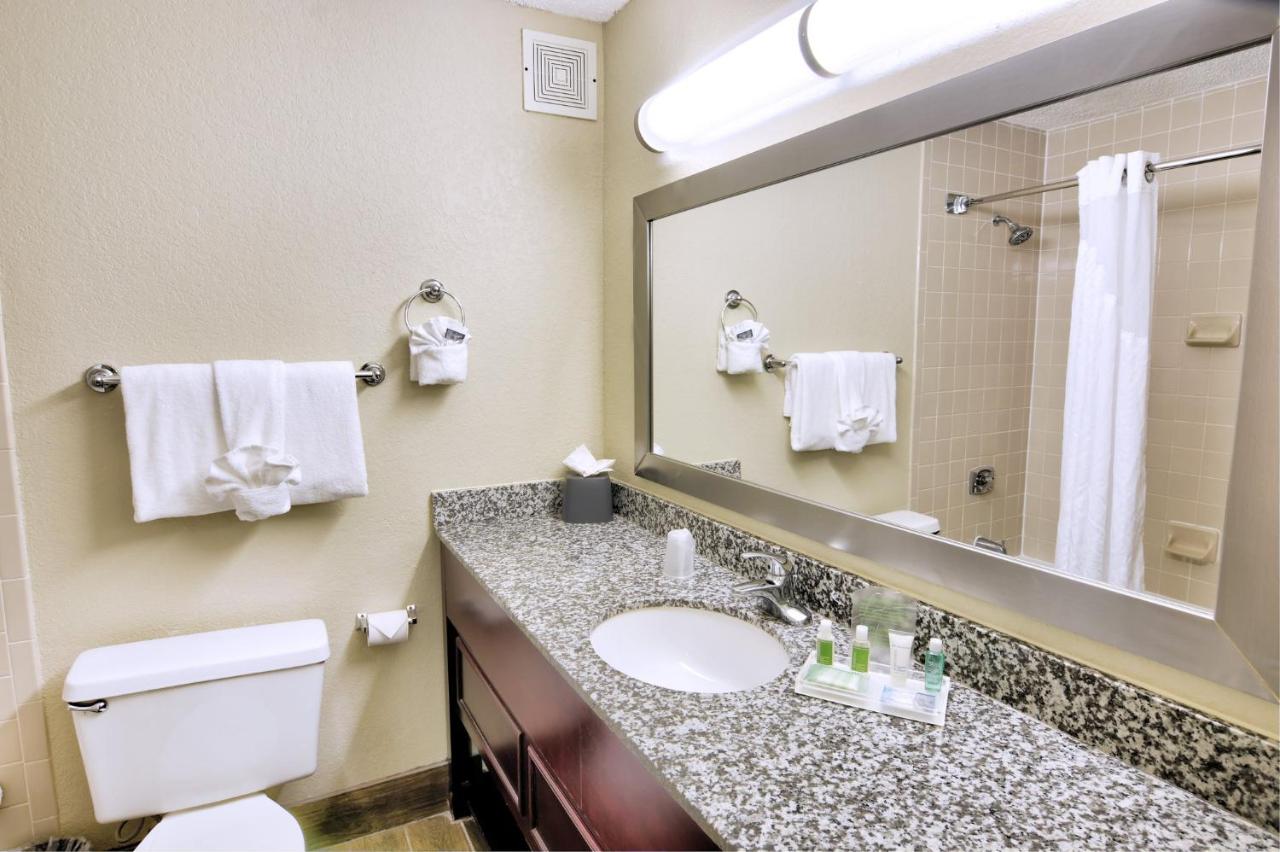 King Room - Non-Smoking at Holiday Inn St Petersburg N - Clearwater, an IHG Hotel