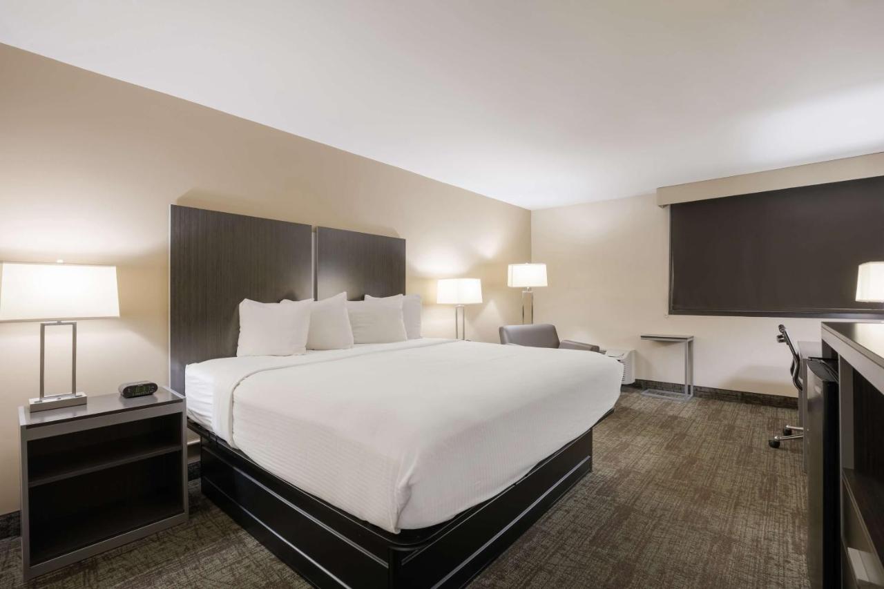 King Room - Pet Friendly at Best Western Northwest Indiana Inn