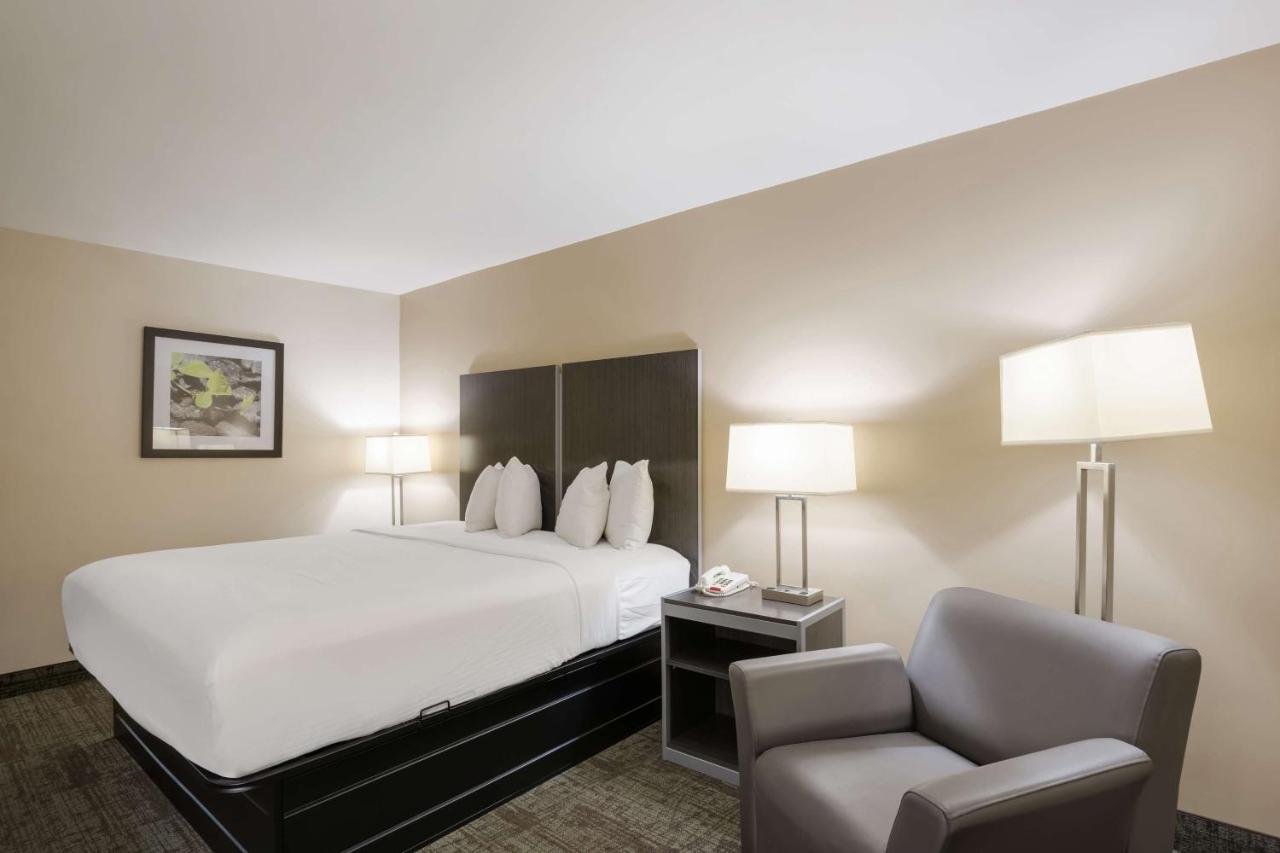 King Room - Pet Friendly at Best Western Northwest Indiana Inn
