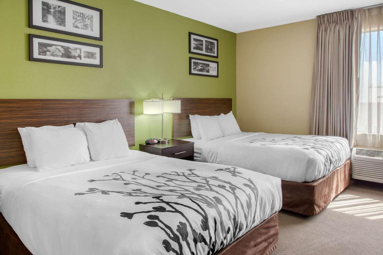 Queen Suite with Two Queen Beds - Non-Smoking at Sleep Inn & Suites Bakersfield North