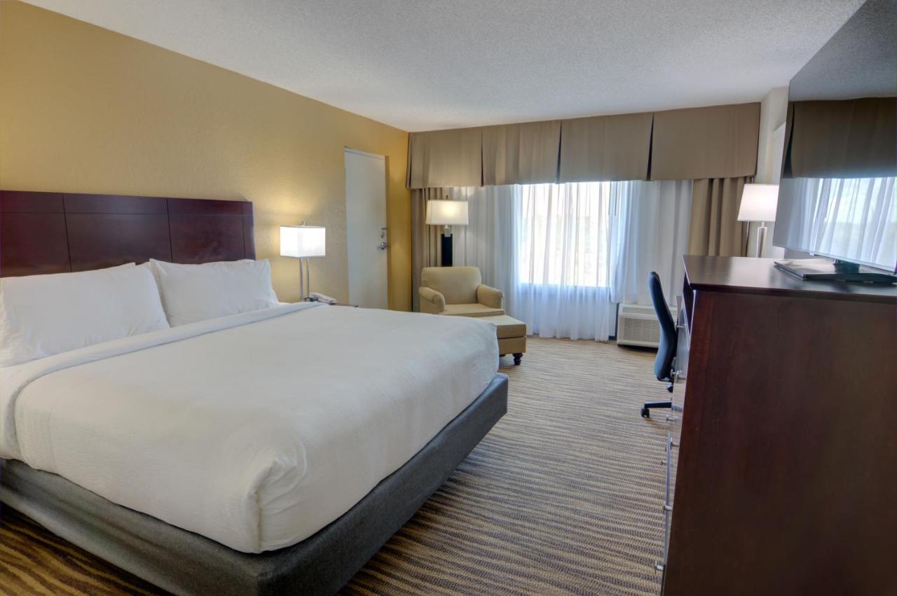 King Suite - Non-Smoking at Holiday Inn St Petersburg N - Clearwater, an IHG Hotel