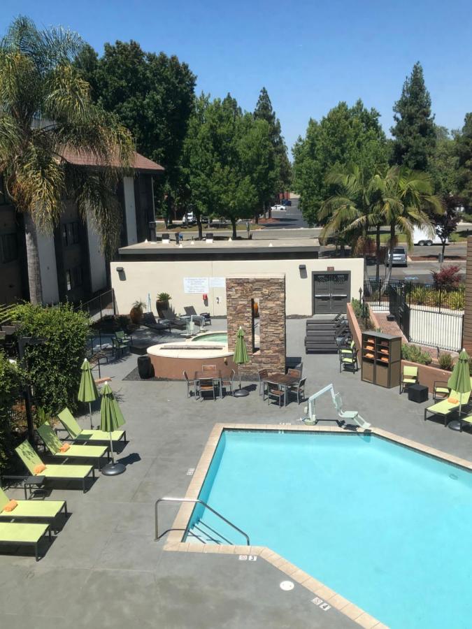 Preferred King Pool View at Sonesta Silicon Valley