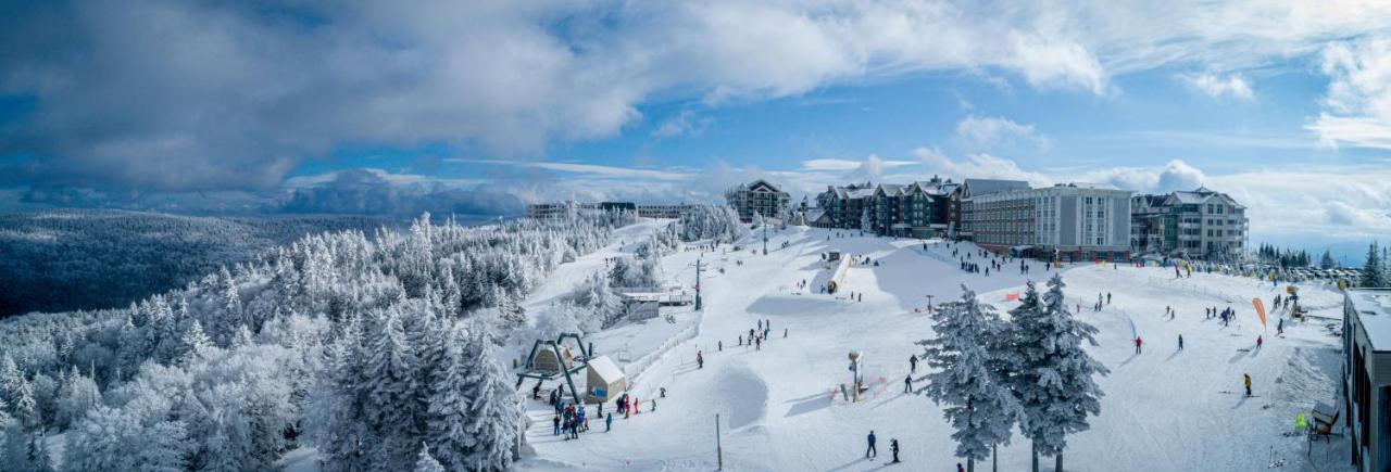 | Stroll to Slopes, Village Area, Ski in-out MtLodge 236