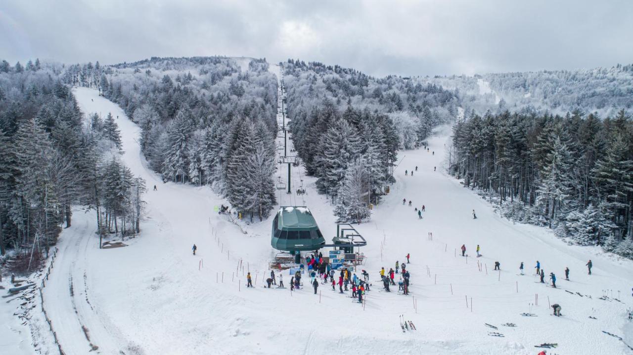 | Stroll to Slopes, Village Area, Ski in-out MtLodge 242